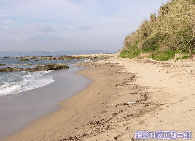 これが東京湾!?という美しさ