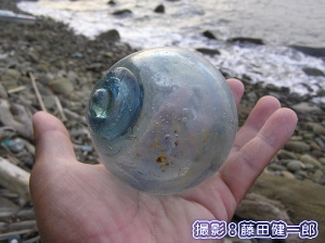 ビンダマ