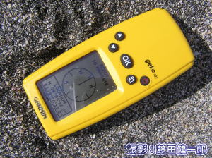ウミガメ産卵調査その6