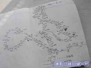 ウミガメ産卵調査その3