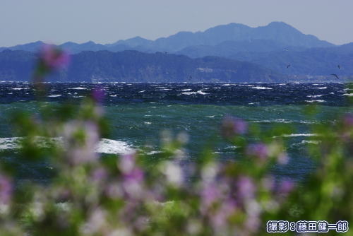 シケの館山湾