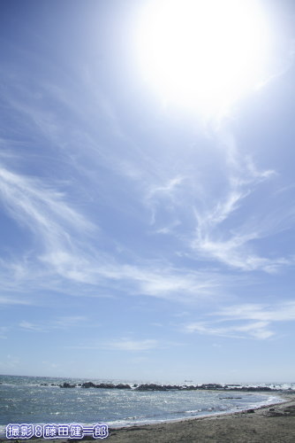 根本海岸