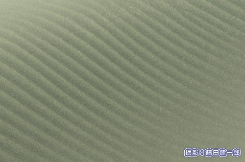 ͗lBn̑n슈H